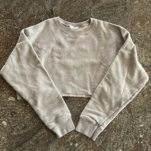 CHAMPION Reverse Weave Crop Crewneck Sweatshirt Light Gray Large Normcore